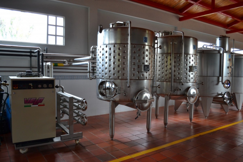 cave-GAREOULT-min_wine_production_cantine_winery_drink_alcohol_vine_beverage-902036